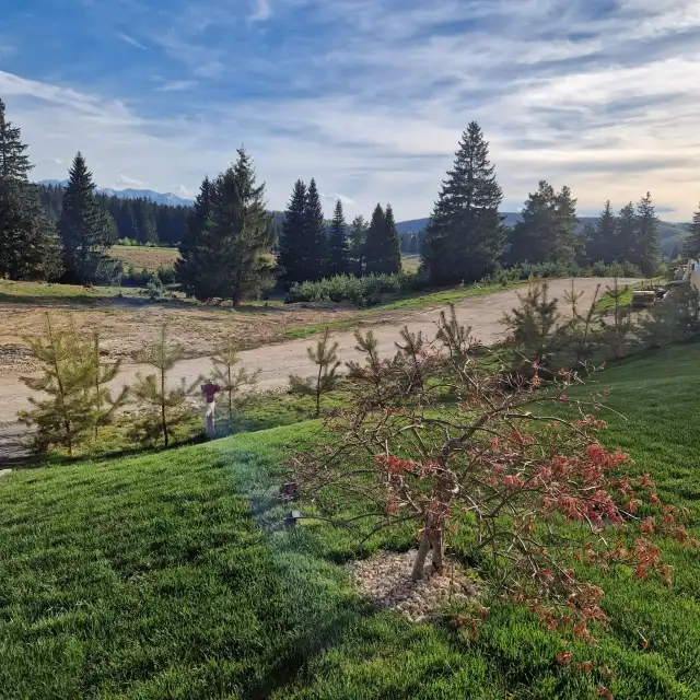 Albert Residence Grand Chalet