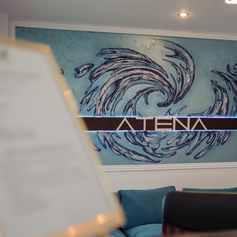 HOTEL ATENA COSTINESTI