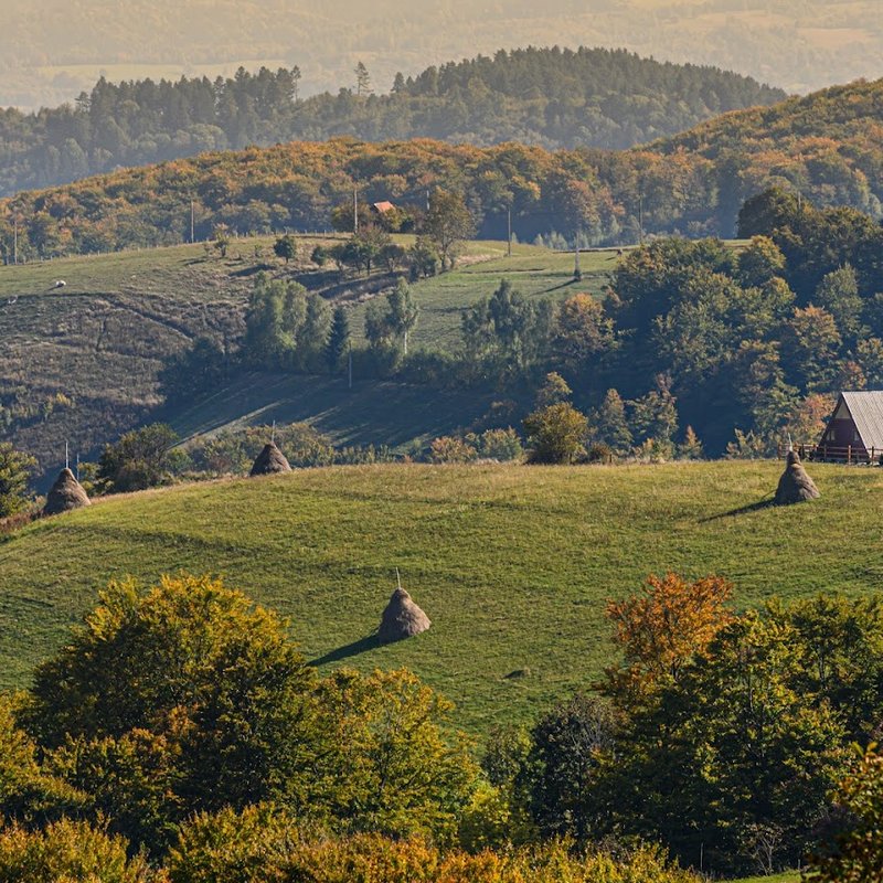 Poiana Mărului - Green Hill cabană A-frame
