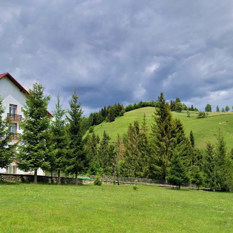 Hotel Floare de Colt Bucovina