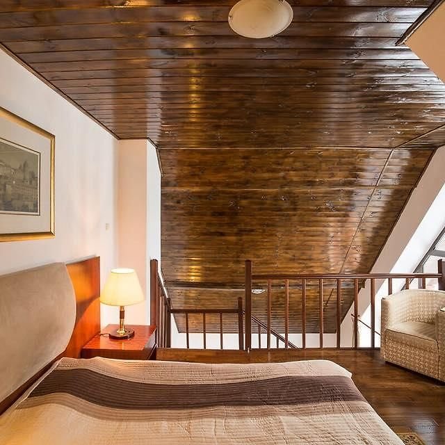 Vila Pinul si Mesteacanul