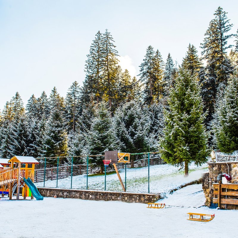Hotel Floare de Colt Bucovina